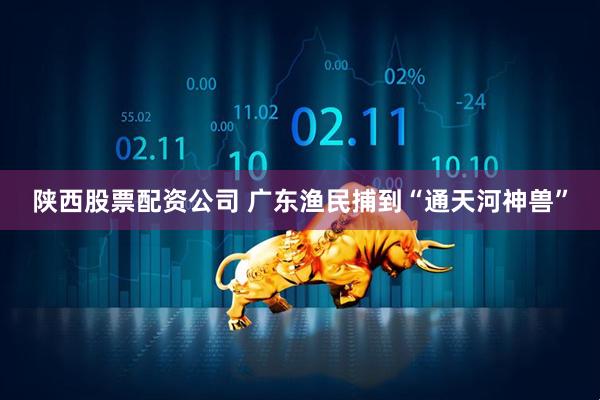 陕西股票配资公司 广东渔民捕到“通天河神兽”